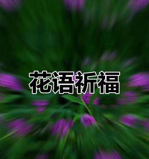 哪种花的花语形容圣母？它象征着什么？