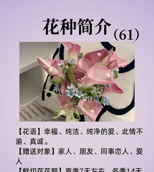 哪种花语最能表达爱情？想恋爱时应该选择哪种花？