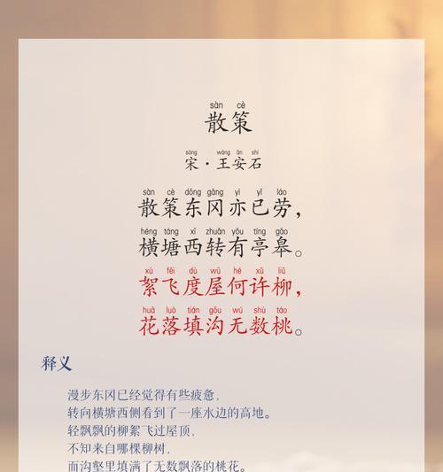 孙策永不凋谢的花语有何寓意？