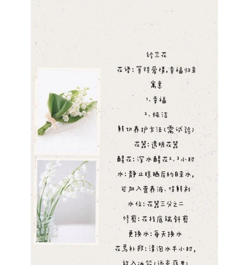 紫兰铃的花语指的是哪种花？