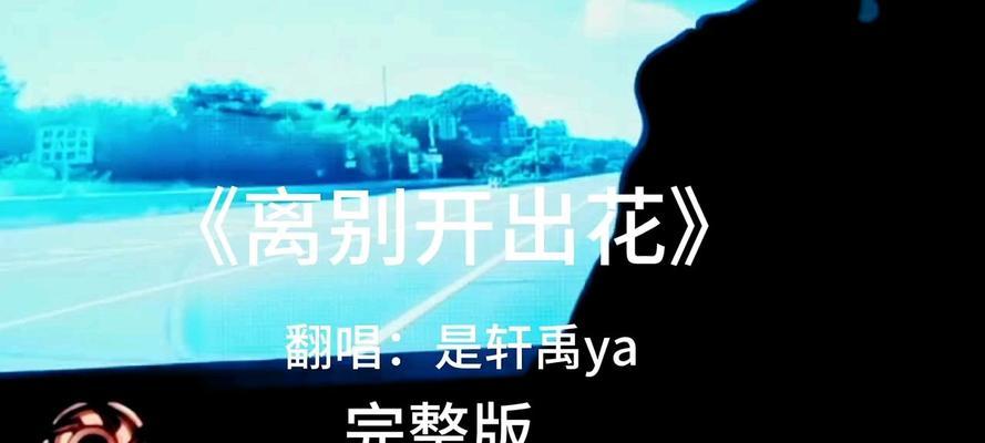 离别出家的花语代表了什么？