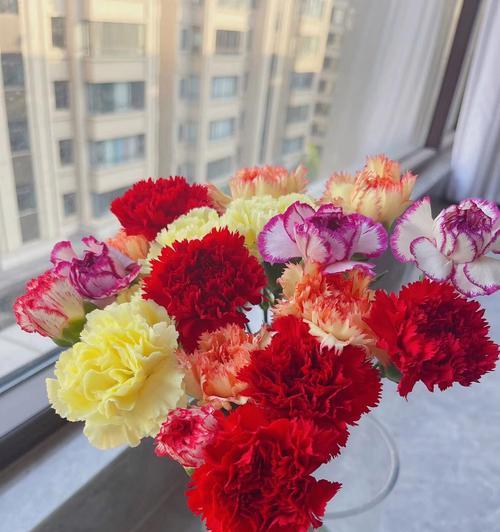 格陵兰的花语有哪些？