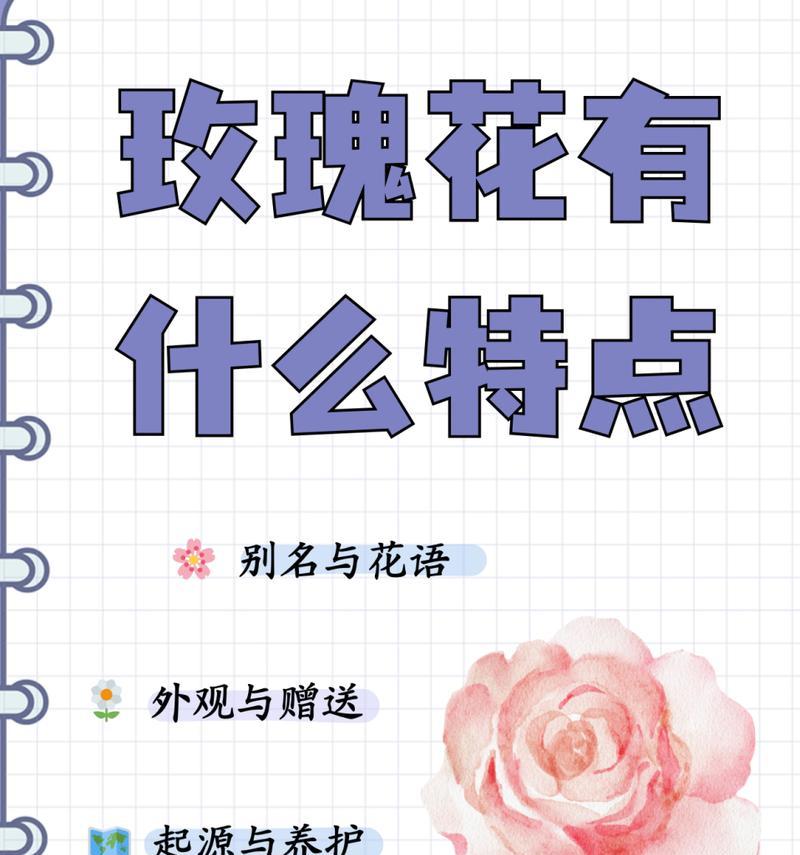 哪种花的花语比玫瑰更艳丽？