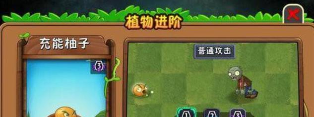 耀斑花的花语和寓意是什么？耀斑花的含义是什么？