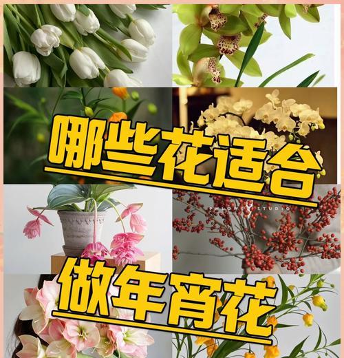 年宵花环的花语和寓意是什么？年宵花环有哪些吉祥寓意？