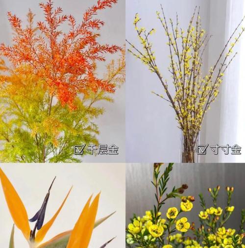 年宵花环的花语和寓意是什么？年宵花环有哪些吉祥寓意？