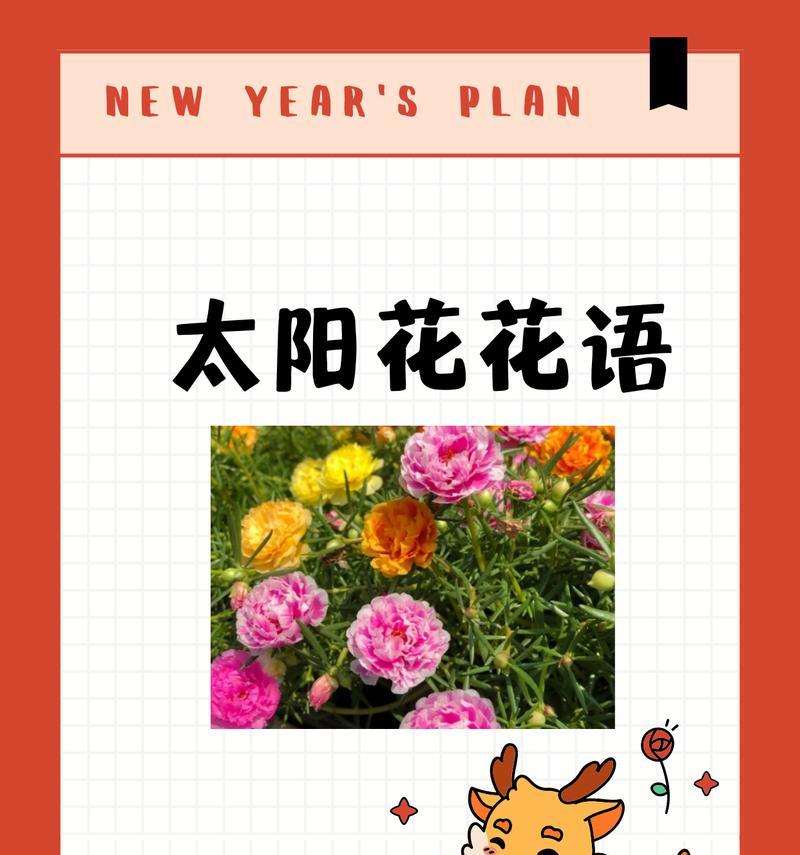 花与花的花语是什么？如何表达爱意？