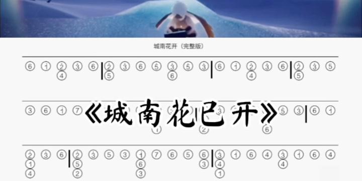 光遇中失望的花语代表什么？
