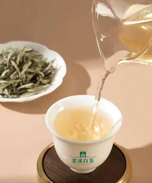 年份白茶有何特殊花语？代表什么？