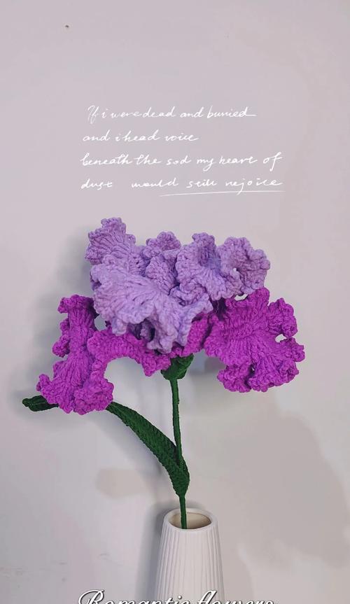 钩织花朵的寓意是什么？它的花语有哪些？