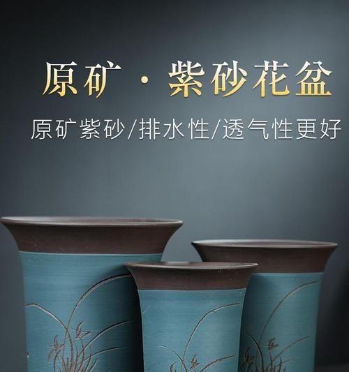 栽君子兰可以用瓷盆吗？正确的养护技巧是什么？