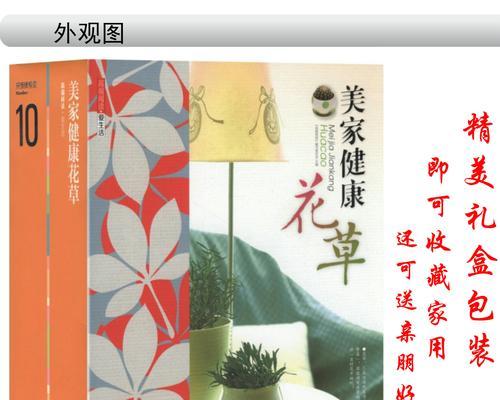 胶花盆玫瑰花的养护方法是什么？如何保持健康？