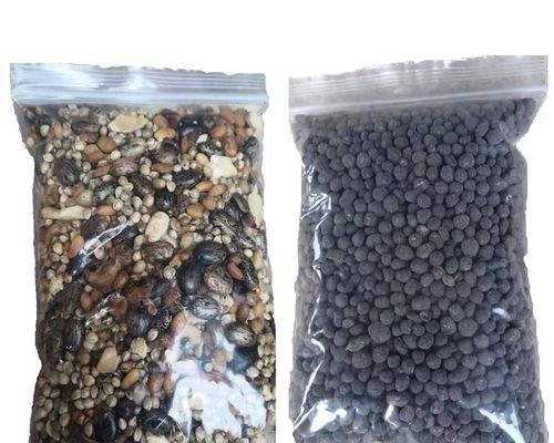 君子兰施肥有讲究，哪种肥料最适合？