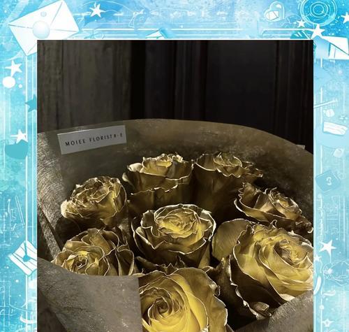 金玫瑰与普通玫瑰花有何不同？各自的特性是什么？