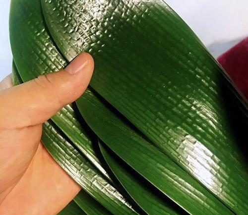君子兰五彩颗粒的正确使用方法是什么？