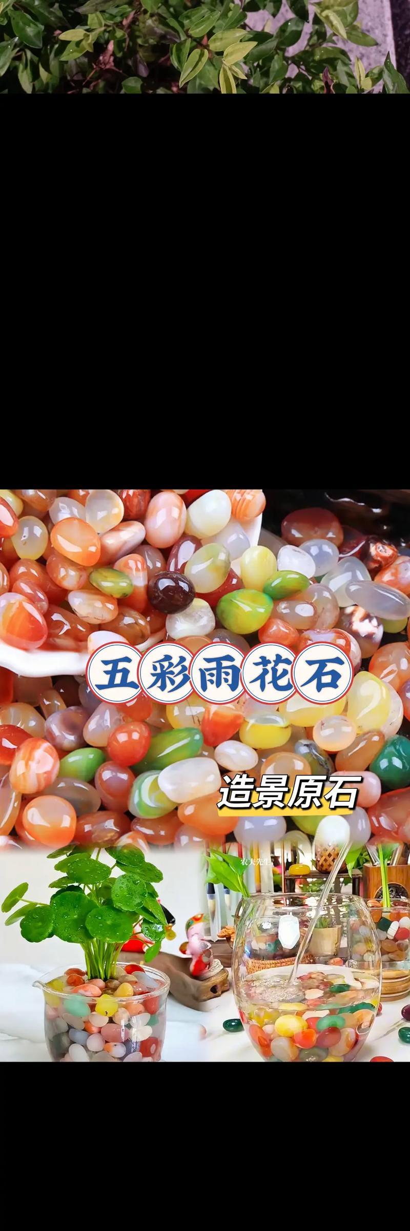 仙人球花盆铺面石白色有何作用？