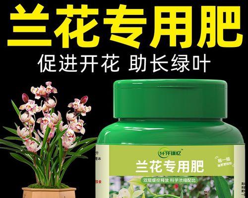 君子兰使用兰陵王的正确方法是什么？有哪些好处？