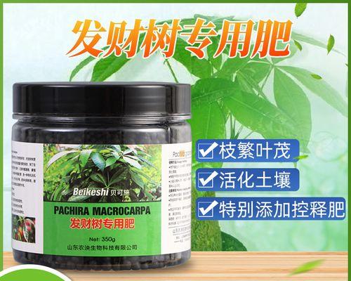 盆栽植物应该使用哪种肥料？如何选择合适的肥料？