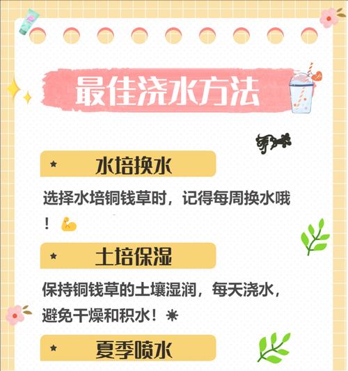 铜钱草的施肥方法是什么？如何选择合适的肥料？