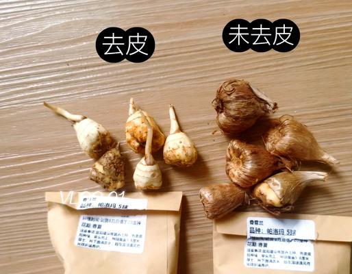 香雪兰怎么种？种植香雪兰的步骤和技巧是什么？