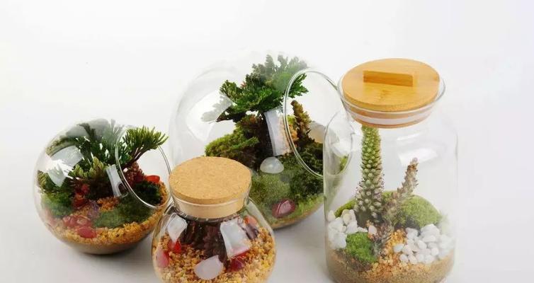 桌面造景微景观插花如何制作？微景观插花的养护方法是什么？