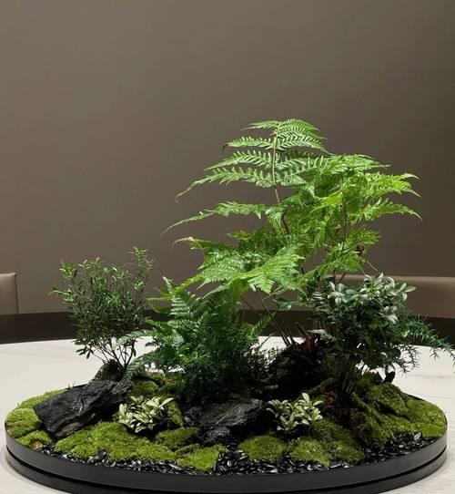 桌面造景微景观插花如何制作？微景观插花的养护方法是什么？