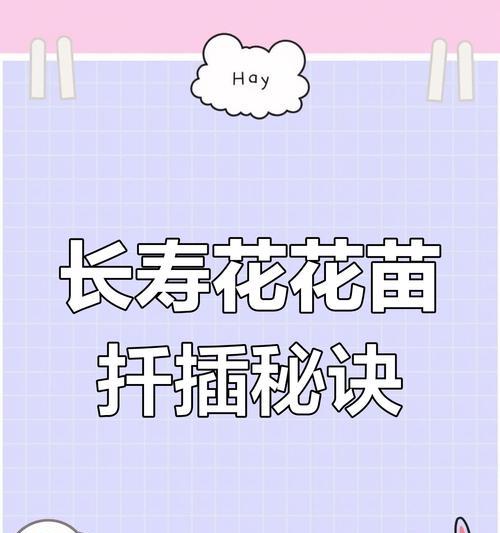 长寿花扦插步骤详解？扦插后多久能生根？