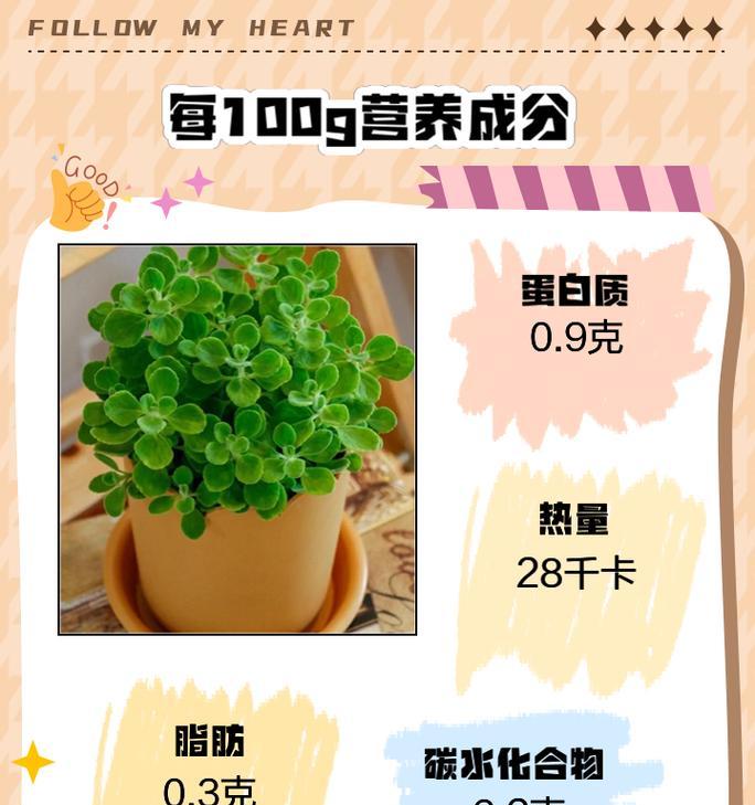 碰碰香繁殖方法有哪些？繁殖过程中应注意什么？