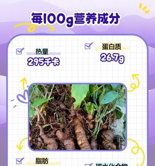 三叶草有哪些功效？三叶草在园艺中的作用是什么？