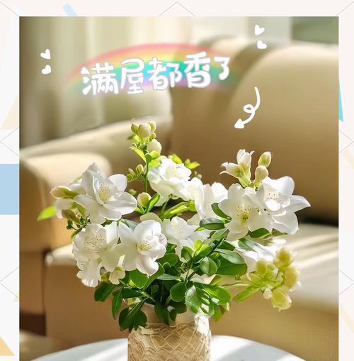 茉莉花不开花是什么原因？如何促进开花？