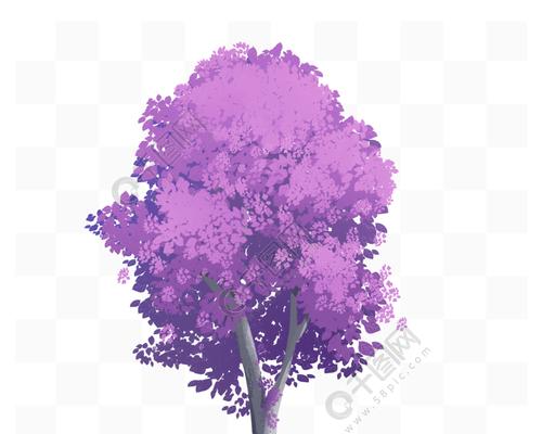 紫色的花树有哪些？它们各自有什么独特的生长习性？