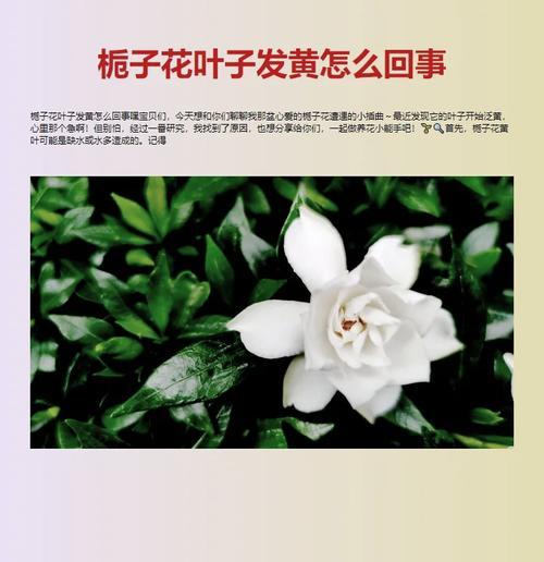 栀子花叶子发黄的原因是什么？如何防治？