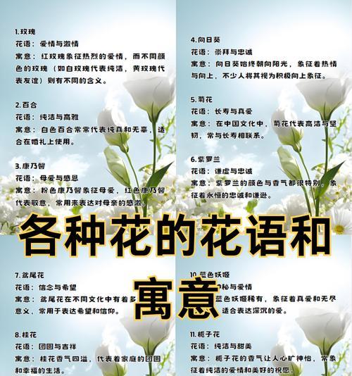 粉玫瑰花语对女生有何寓意？