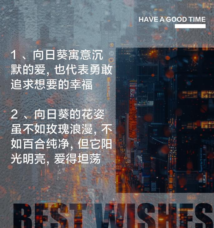日葵花的寓意花语有何深意？