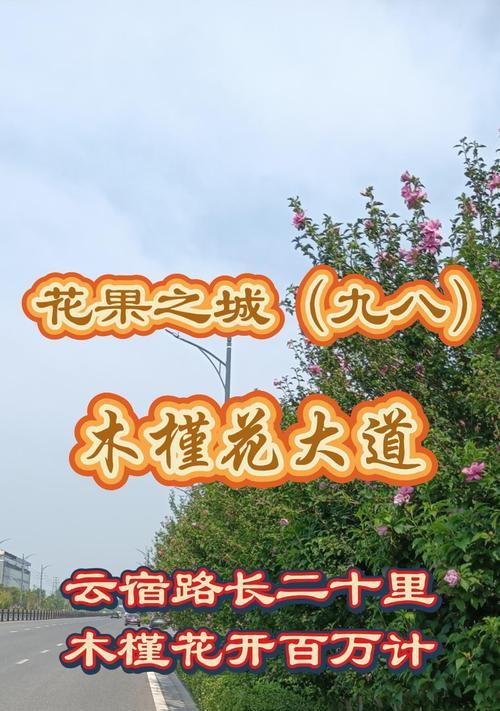 哪些花语成语与木有关？