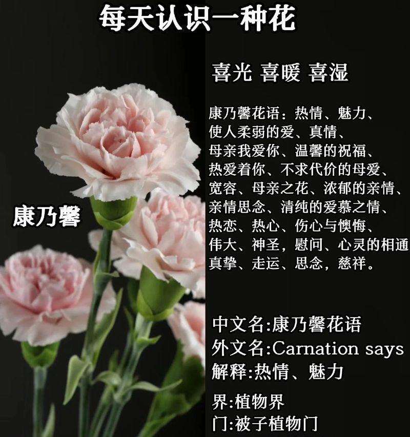 哪些花语成语与木有关？