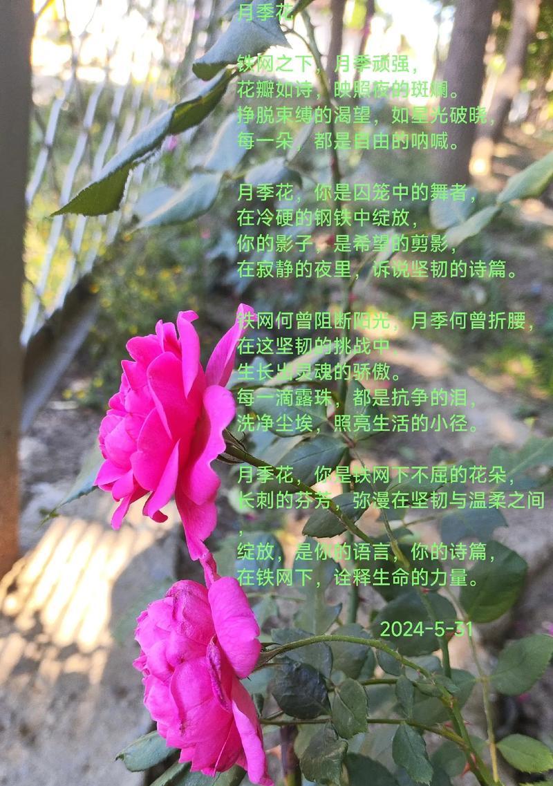 哪些花语成语与木有关？