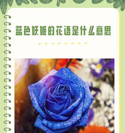 无缘无故的花语是什么？