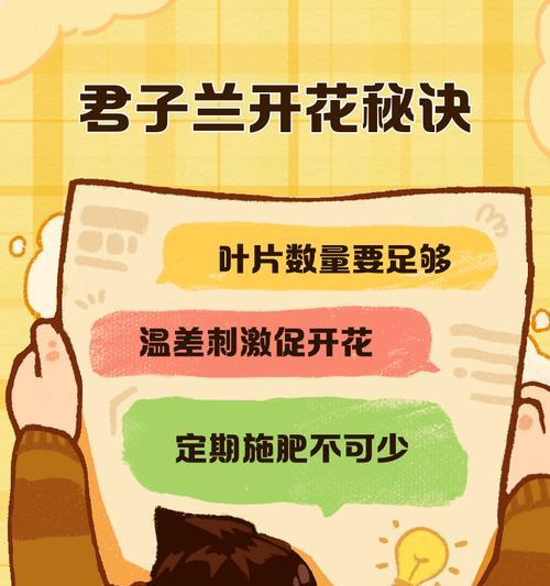 君子兰养护有哪些秘籍？