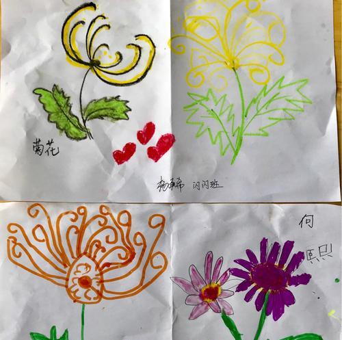 雏菊与杭菊有什么不同？同科不同命的花中“姐妹”是怎样的？