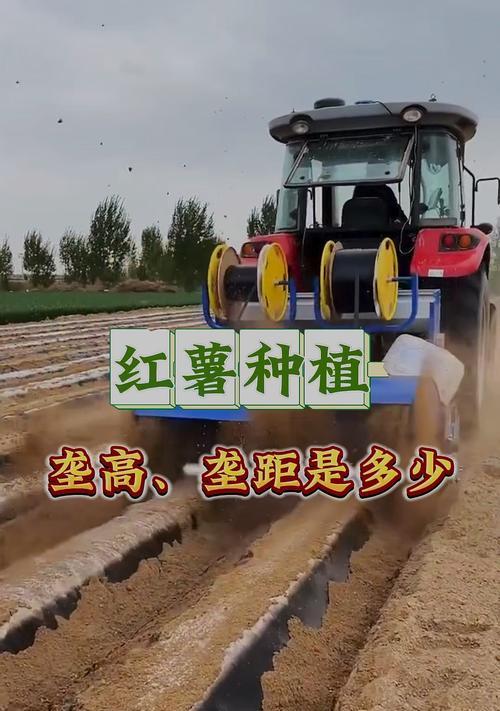 红薯一垄双行种植技术要点是什么？