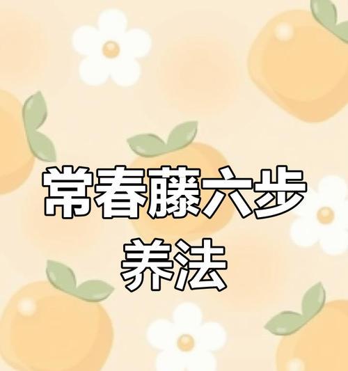 常青藤养护全攻略有哪些技巧？
