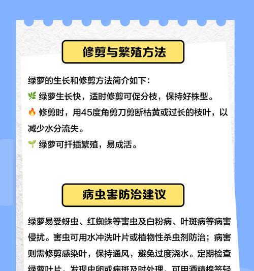 绿萝的详细养殖技巧及日常养护时需要注意什么？