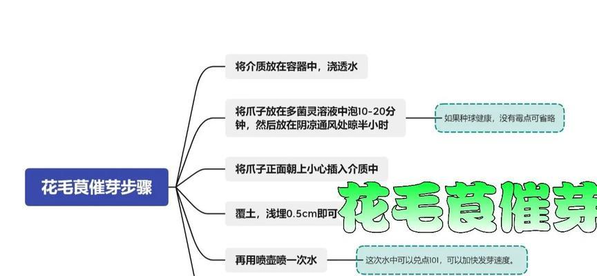 花毛茛如何施肥？花毛茛施肥的正确方法是什么？