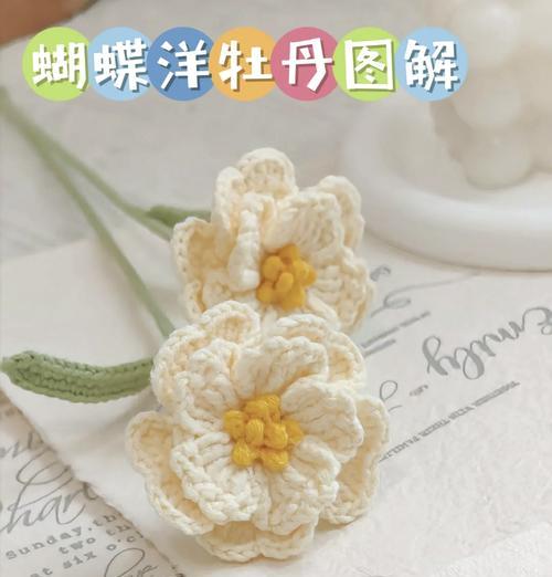 花毛茛如何施肥？花毛茛施肥的正确方法是什么？