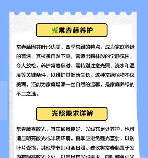 常春藤放在哪里养殖最合适？常春藤叶子发黄怎么办？
