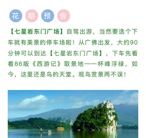 花期预告是什么？如何查看花期预告？