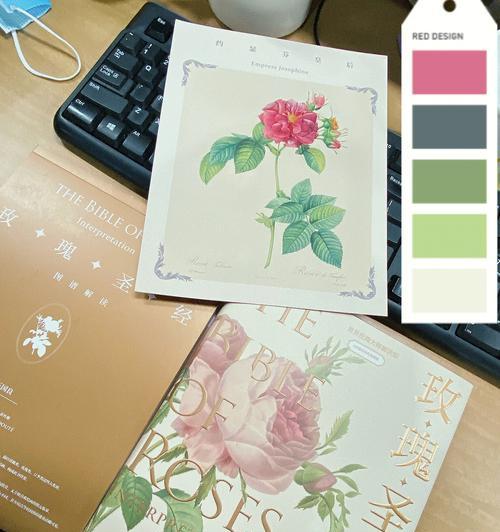 奇异玫瑰品种有哪些？从《玫瑰圣经》到真实世界的玫瑰品种有哪些？