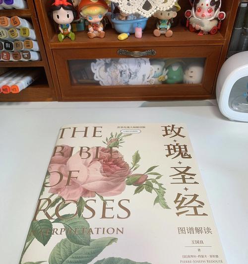 奇异玫瑰品种有哪些？从《玫瑰圣经》到真实世界的玫瑰品种有哪些？