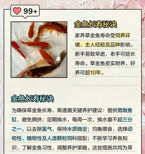 养殖金鱼草的适宜温度是多少？如何确保金鱼草健康生长？